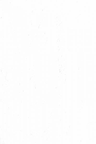 background  white