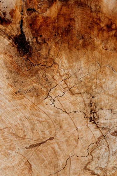  brown and black wooden surface 