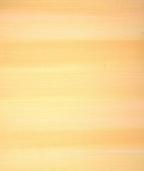  brown and white painted wall 