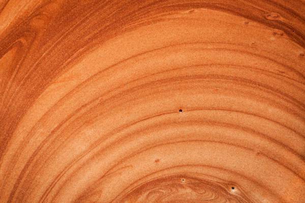 brown brown and white round illustration pattern