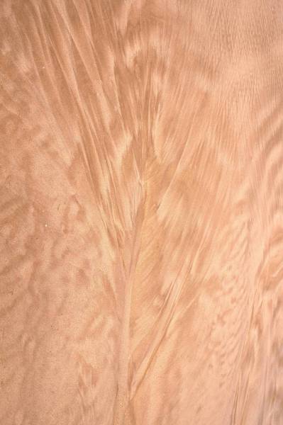 brown white textile with black hair 