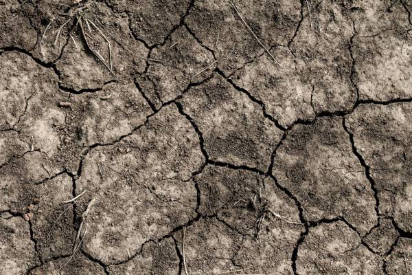 closeup of dried soil 