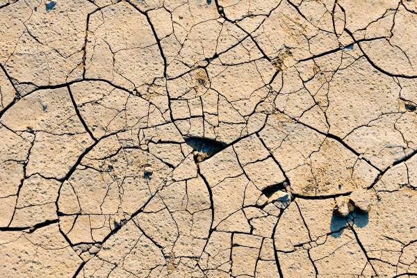  dried soil 