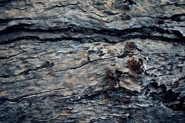 grey brown wooden surface pattern