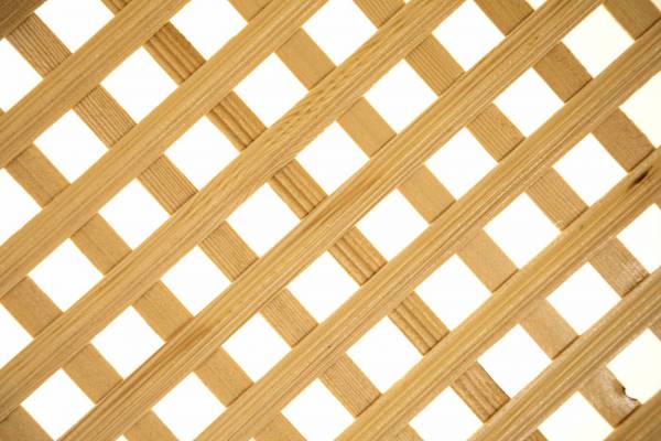 pattern brown and white checkered textile turkey