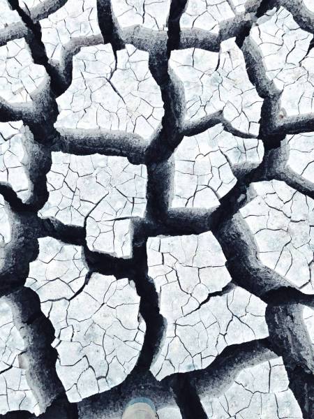 pattern  earth