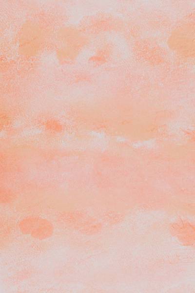  pink and white floral textile 