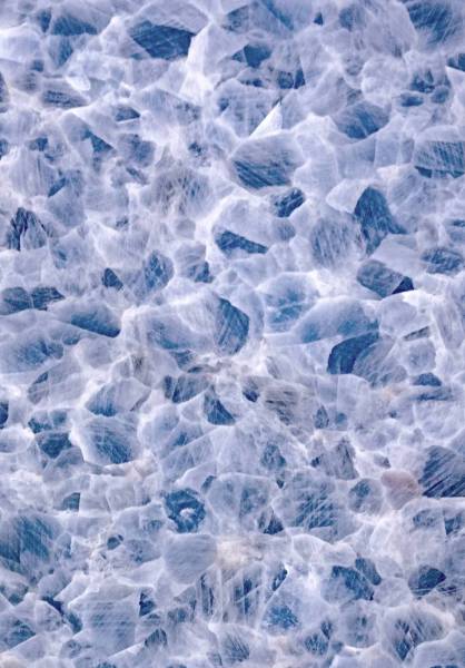  spider web lot 
