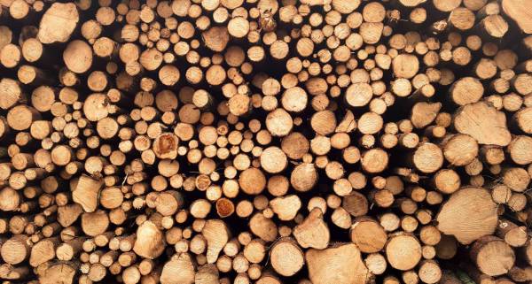 wood brown log lot at daytime log