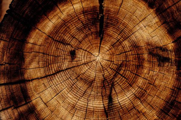 wood photo of brown wood slab brown