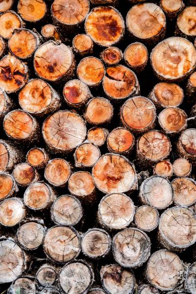 wood pile of of brown wood logs switzerland