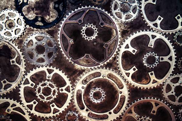 pattern cogs and gears peloton cellars