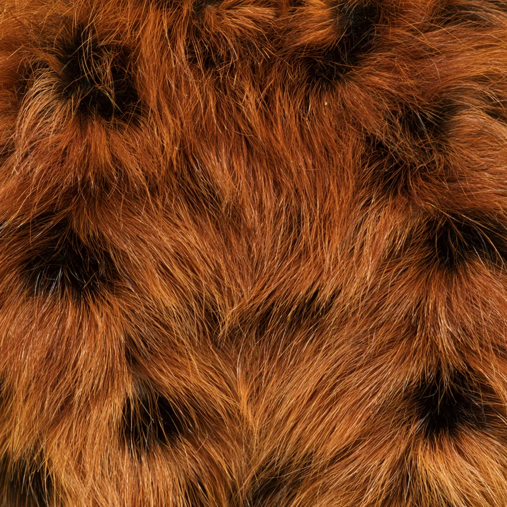 caterpillar texture soft hairy larva body warm brown fibers