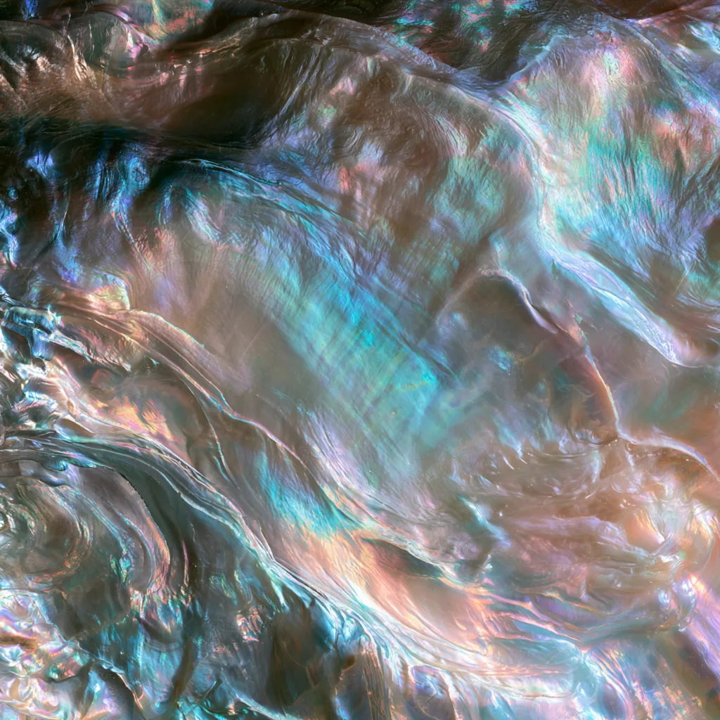 iridescent texture opalescent shell surface rainbow sheen nat