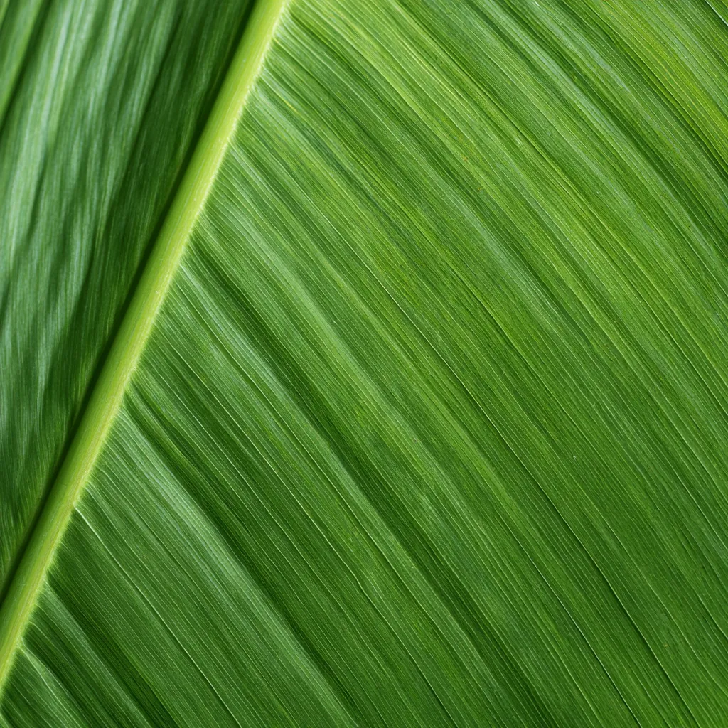 leaf texture bamboo leaf surface soft green texture natural