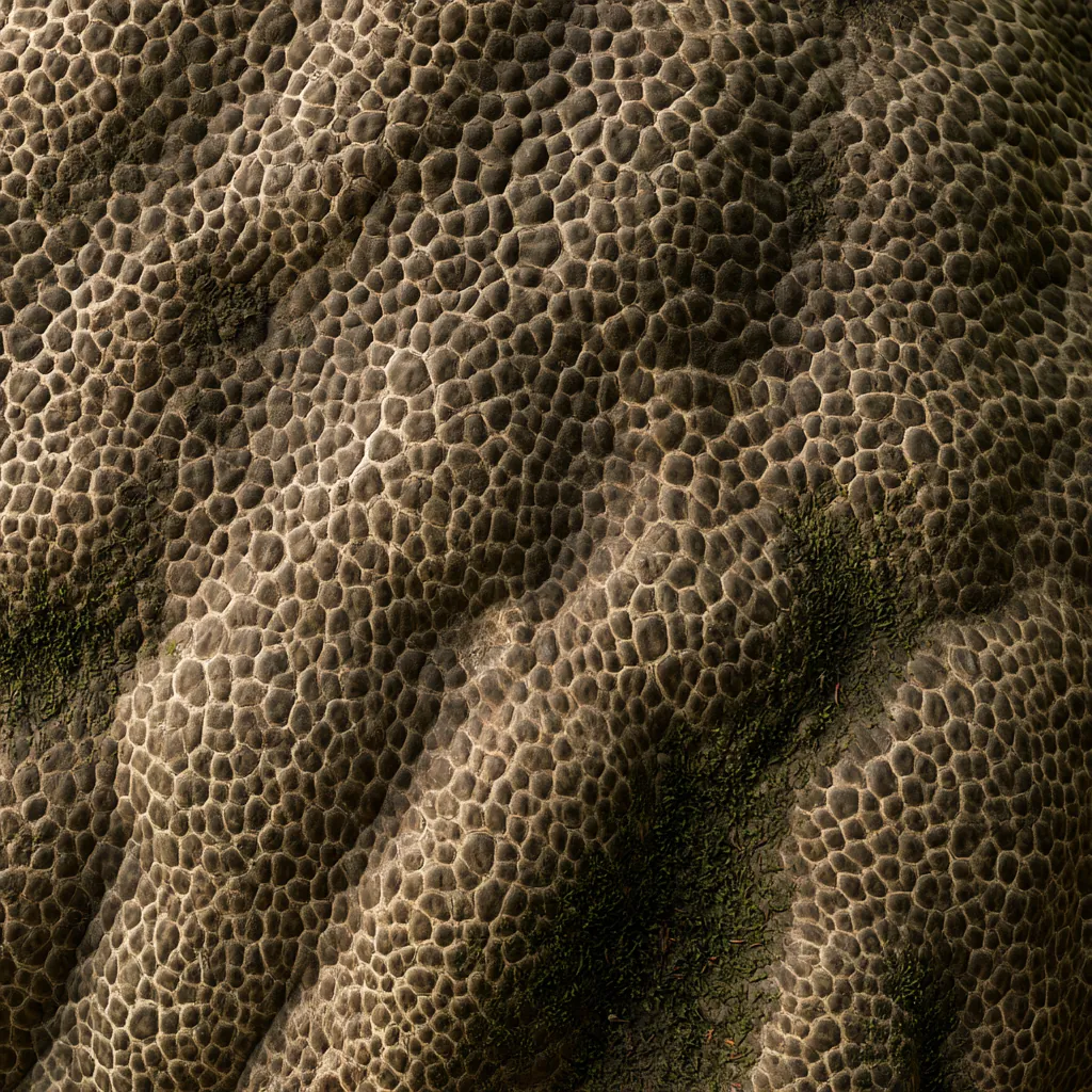 mushroom texture wild forest fungus surface irregular scales